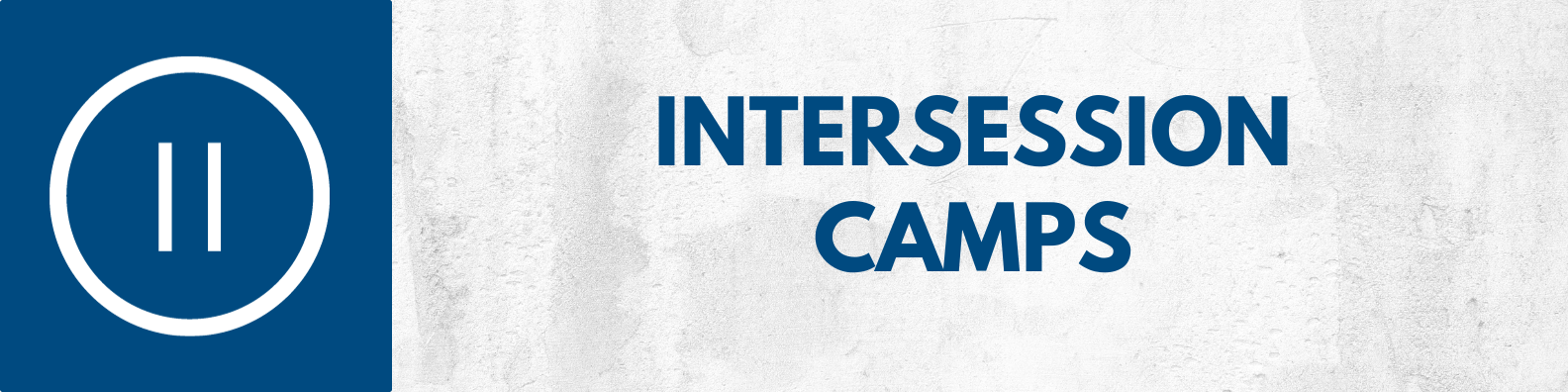 Intersession Camps Link